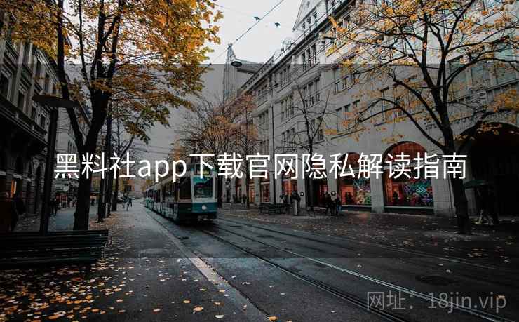 黑料社app下载官网隐私解读指南 黑料社app下载官网隐私解读指南