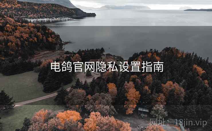 电鸽官网隐私设置指南 电鸽官网隐私设置指南