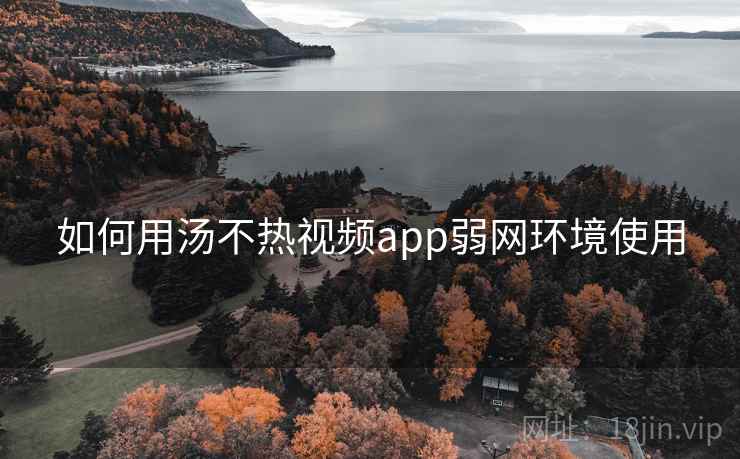 如何用汤不热视频app弱网环境使用 如何用汤不热视频app弱网环境使用